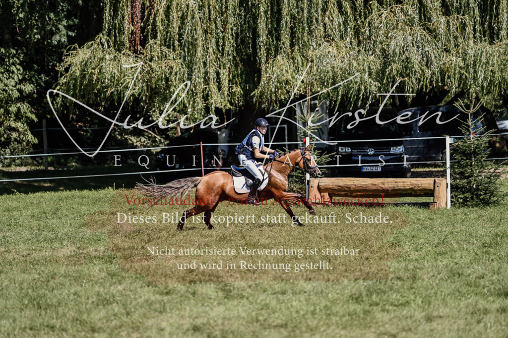 DSC_2102 | Pferde- und Turnierfotografie in Westsachsen. Pferdeportraits, Auftragszeichnungen und intuitive Kunst.