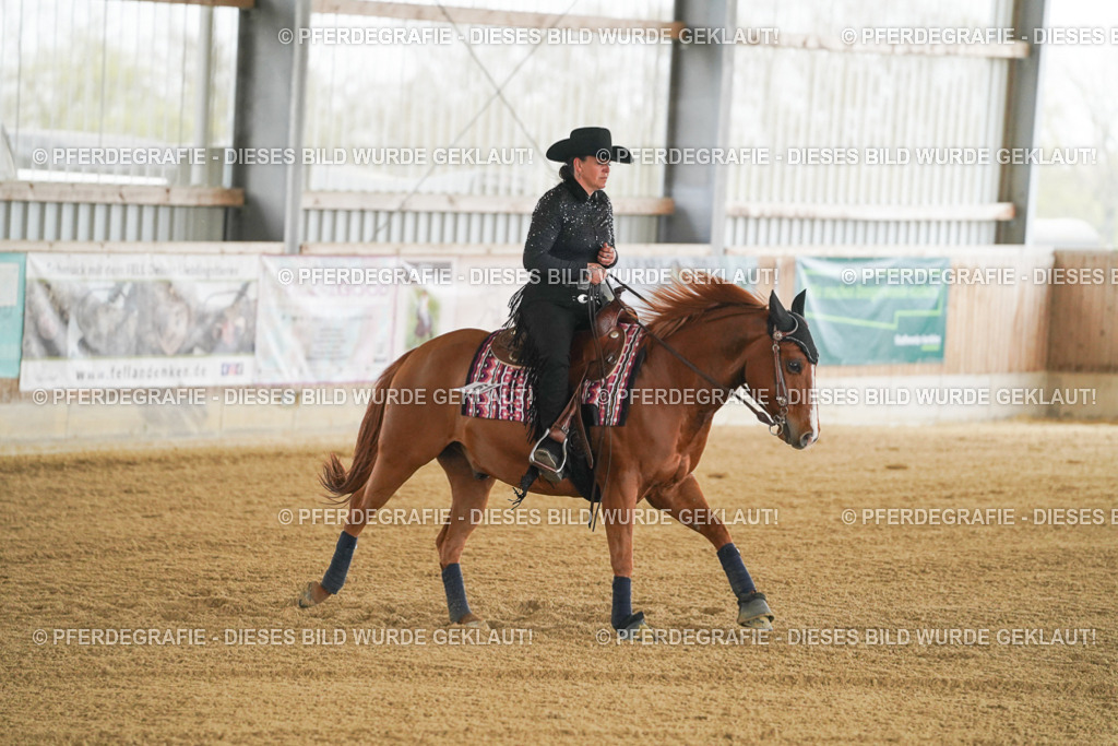 DSC06984 | Pferdegrafie