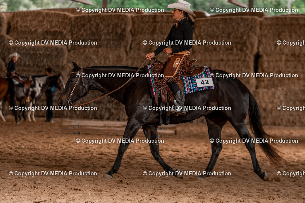 Balingen Tag 3-600 | dv-media-shop - Realisiert mit Pictrs.com