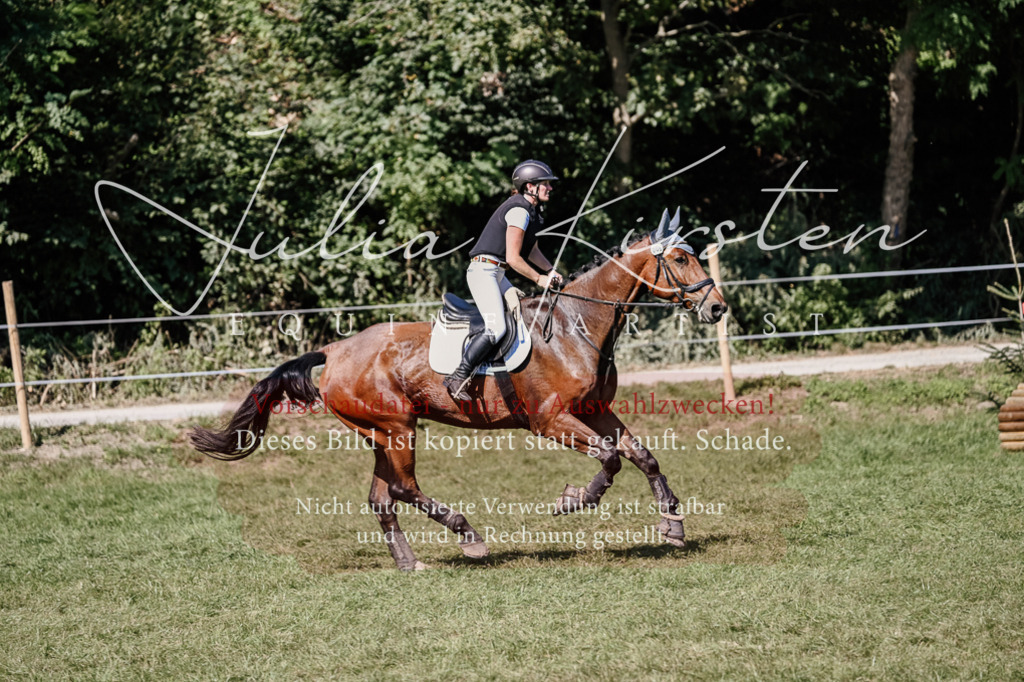 DSC_2702 | Pferde- und Turnierfotografie in Westsachsen. Pferdeportraits, Auftragszeichnungen und intuitive Kunst.