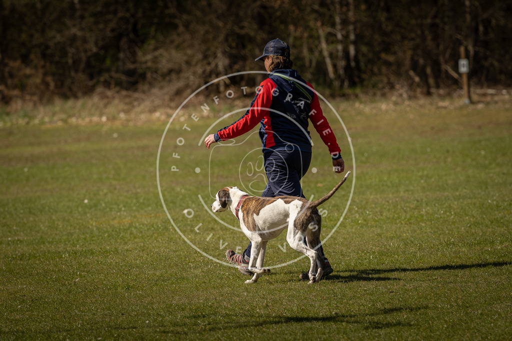 Pfotenfotografie_DV3A0724 | Hundefotografie, Tierfotograf, Pfotenfotografie, Fotoshooting Hund, Hunde Portrait, Hundesport, Hundeportraits, Heideshooting, Hunde, Sportfotograf, Hundefotograf, Turnierhundsport, THS,  - Realisiert mit Pictrs.com