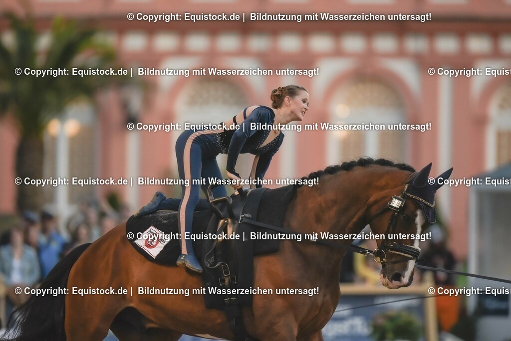 20230527_Voltigieren_NASPA_Flutlicht_0267 | equistock