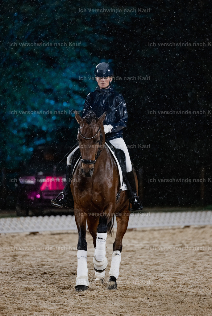 FHClassics-78 | working equitationturnier fotograf videograf stoibphotography marixx film working equitation deutschland reitsport turnierfotografie eventfotografie equestrian events
