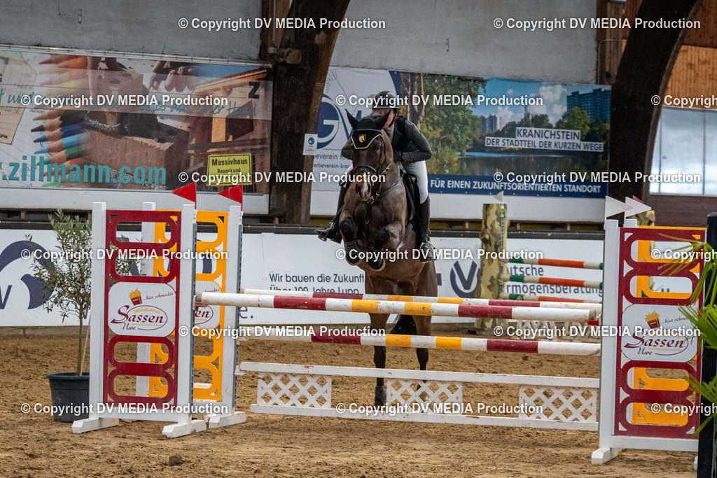 Kranichstein Tag 2-180 | dv-media-shop - Realisiert mit Pictrs.com