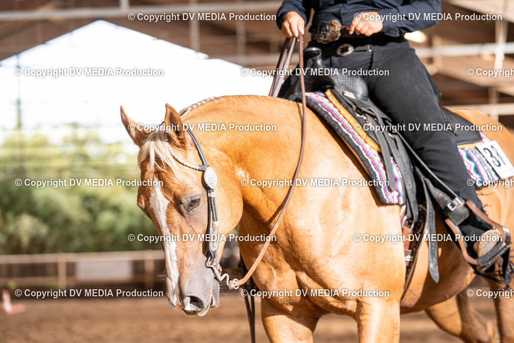 Erbach Tag 1-623 | dv-media-shop - Realisiert mit Pictrs.com