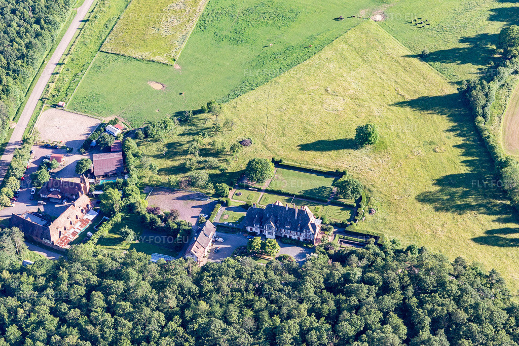 Vue aérienne: Villa Le Riesack à Niederbronn-les-Bains dans le département Bas Rhin, France. Photo: IMG_115400.jpg prise le 16/06/2019 par Werner Riehm/FLY-FOTO.eu – Résolution de l'original: 5472 x 3648 px