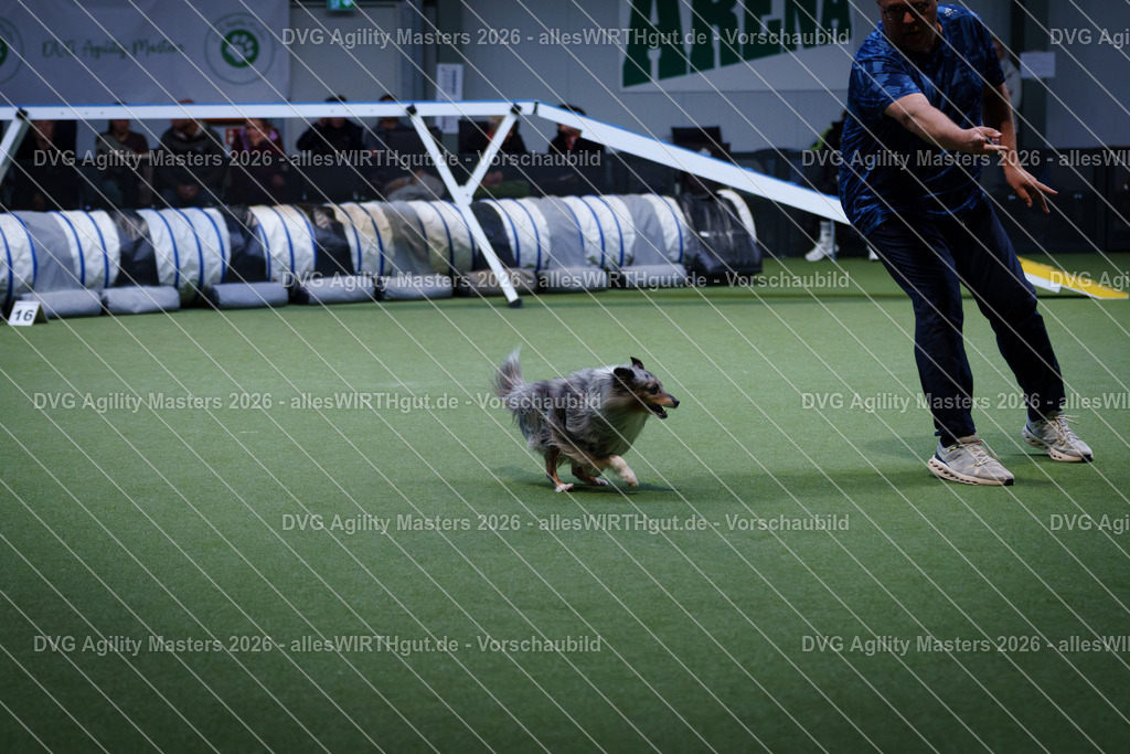 allesWIRTHgut_Tierfotografie-DVG_Agility_Masters_2026-13_21-7R503042 | Professionelle Tierfotografie in Mönchengladbach von Daniel Wirth (allesWIRTHgut). Liebevolle & natürliche Bilder von Hunden & Katzen für unvergessliche Erinnerungen.
