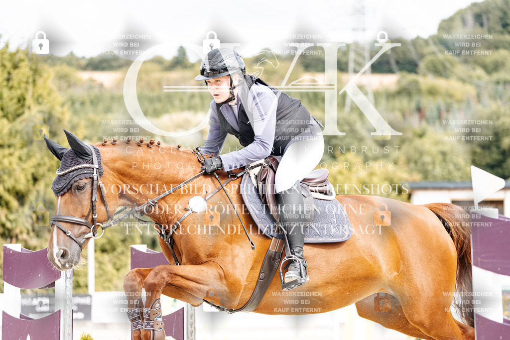 CK901869 | Turnierfotografie Pferdefotografie Trier Rheinland-Pfalz Pferdesport Reitsport Tierfotografie Sportfotografie Pferdevideo Pferdevideografie Equestrianvideography equestrianphotography  - Realisiert mit Pictrs.com