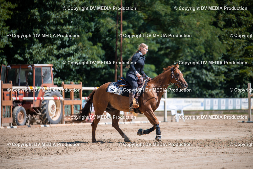 ZS1_1046 | dv-media-shop - Realisiert mit Pictrs.com