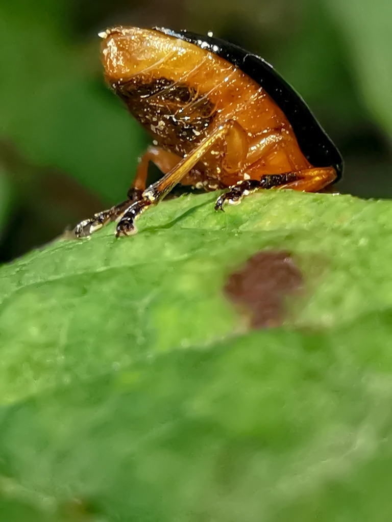 PSX_20230825_225050 | mtkfoto_ - Realisiert mit Pictrs.com