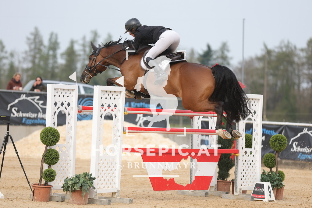 0P6A7511 | Willkommen bei Brunnmayr - Design & Fotografie – Ihrem Spezialisten für Reitturniere und Pferdeveranstaltungen in Oberösterreich, Salzburg und Bayern! Seit über 17 Jahren sind wir leidenschaftlich dabei.