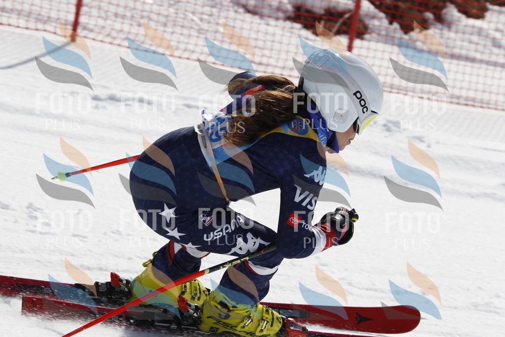 _U3G0686 | holidayphoto