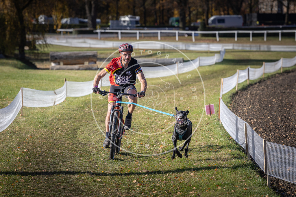CaniXpix_DV3A6172 | Hundefotografie, Tierfotograf, Pfotenfotografie, Fotoshooting Hund, Hunde Portrait, Hundesport, Hundeportraits, Heideshooting, Hunde, Sportfotograf, Hundefotograf, Turnierhundsport, THS,  - Realisiert mit Pictrs.com