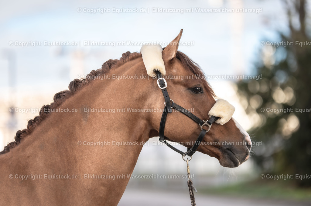 20231115_Ann-Cathrin-Rieg_und_Derrick_0019_TOMsPiC | Foto: Thomas Hartig