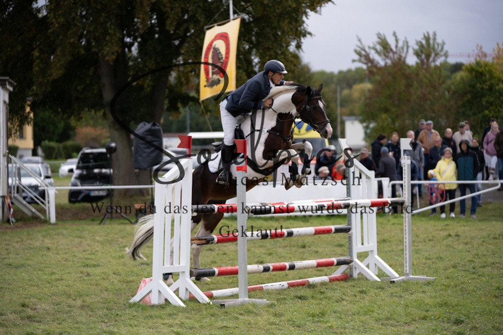 A7V07287 | Pferdefotograf