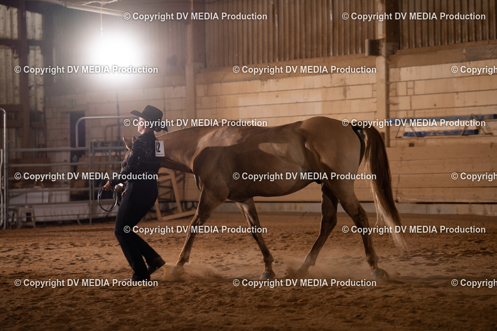 NID00137 | dv-media-shop - Realisiert mit Pictrs.com