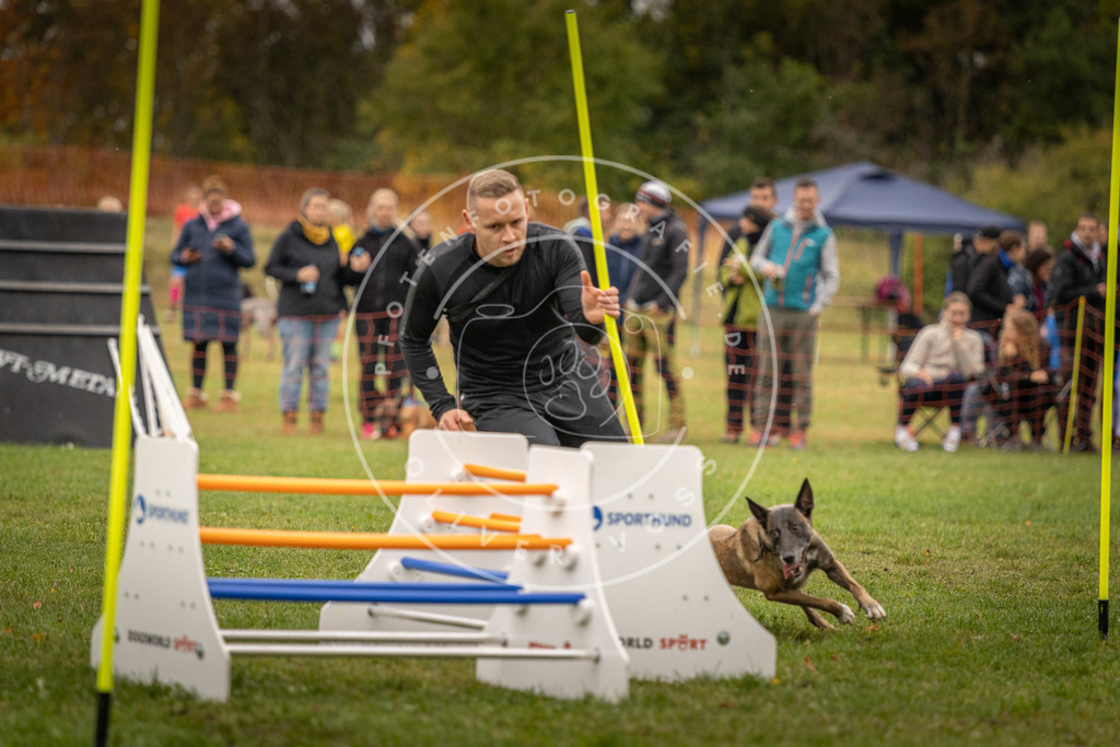 Pfotenfotografie_DV3A6930 | Hundefotografie, Tierfotograf, Pfotenfotografie, Fotoshooting Hund, Hunde Portrait, Hundesport, Hundeportraits, Heideshooting, Hunde, Sportfotograf, Hundefotograf, Turnierhundsport, THS,  - Realisiert mit Pictrs.com