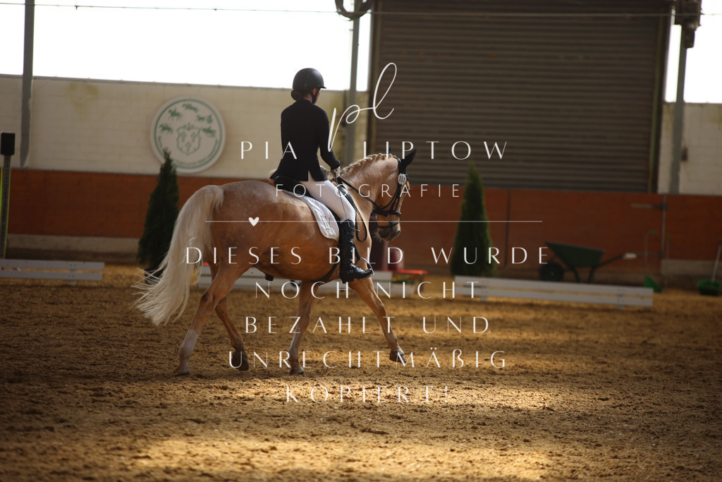 IMGT7254 | pl-fotografie