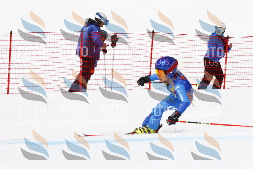 _U3G6732 | holidayphoto