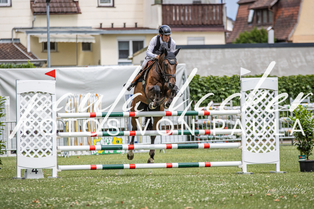 IMG_7166 | Erleben Sie dynamische Sport- und emotionale Tierfotografie in Süddeutschland mit Fotos von Paula. Spezialisiert auf Pferde- und Hundefotografie sowie Sportevents. Kontaktieren Sie mich für einzigartige und ausdrucksstarke Bilder Ihrer besonderen Momente.