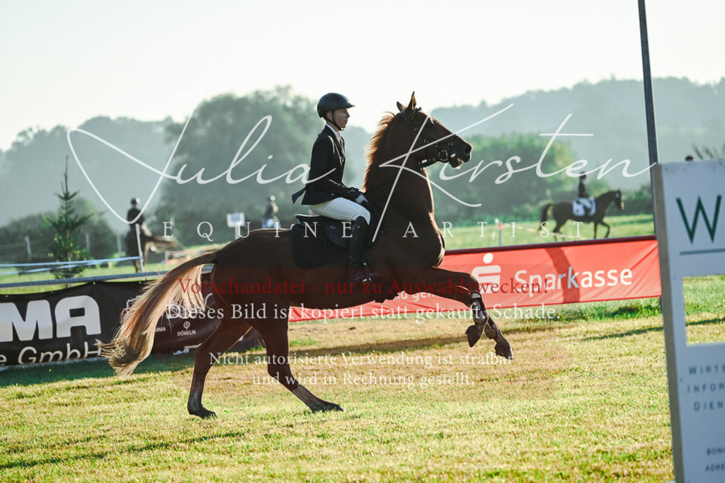 DSC_3745 | Pferde- und Turnierfotografie in Westsachsen. Pferdeportraits, Auftragszeichnungen und intuitive Kunst.