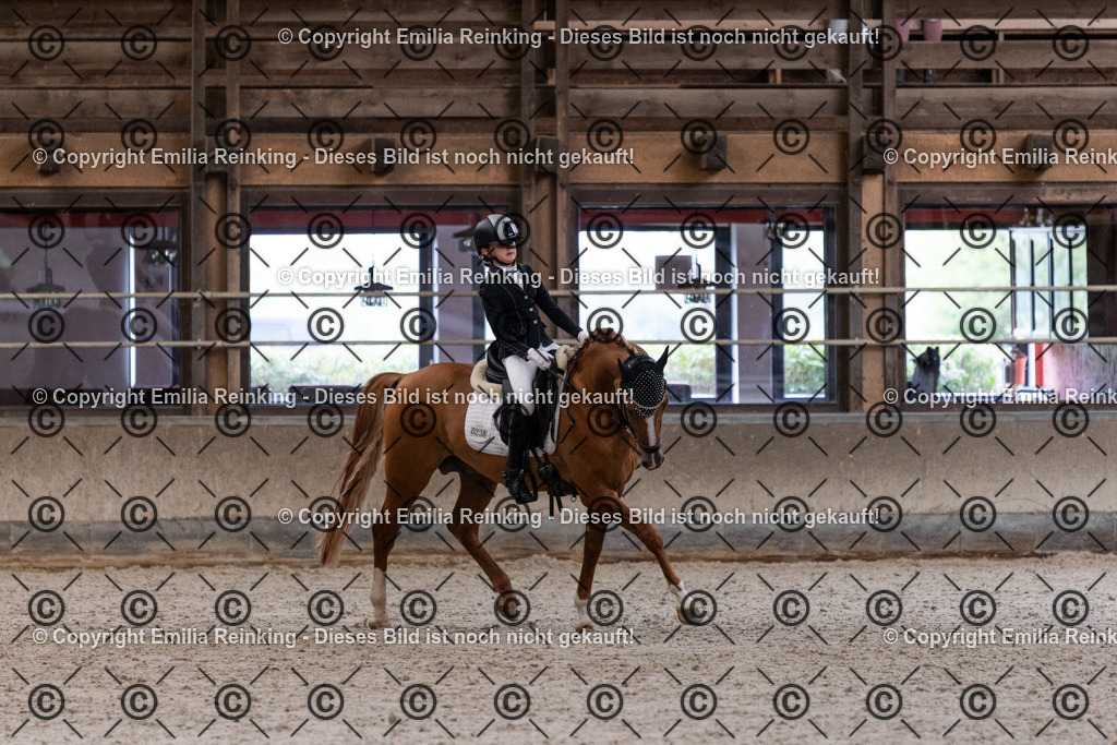 CL5A5241 | Emilia Reinking Fotografie - Realisiert mit Pictrs.com