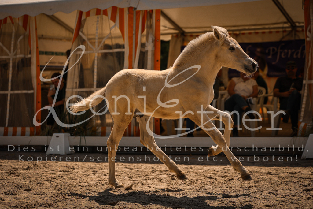 05.DoF00047 | Leoni Ertmer Photography - Realisiert mit Pictrs.com