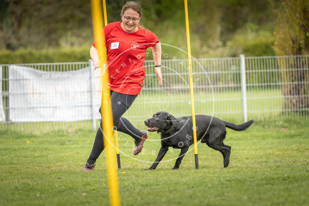 Pfotenfotografie_DV3A9977 | Hundefotografie, Tierfotograf, Pfotenfotografie, Fotoshooting Hund, Hunde Portrait, Hundesport, Hundeportraits, Heideshooting, Hunde, Sportfotograf, Hundefotograf, Turnierhundsport, THS,  - Realisiert mit Pictrs.com