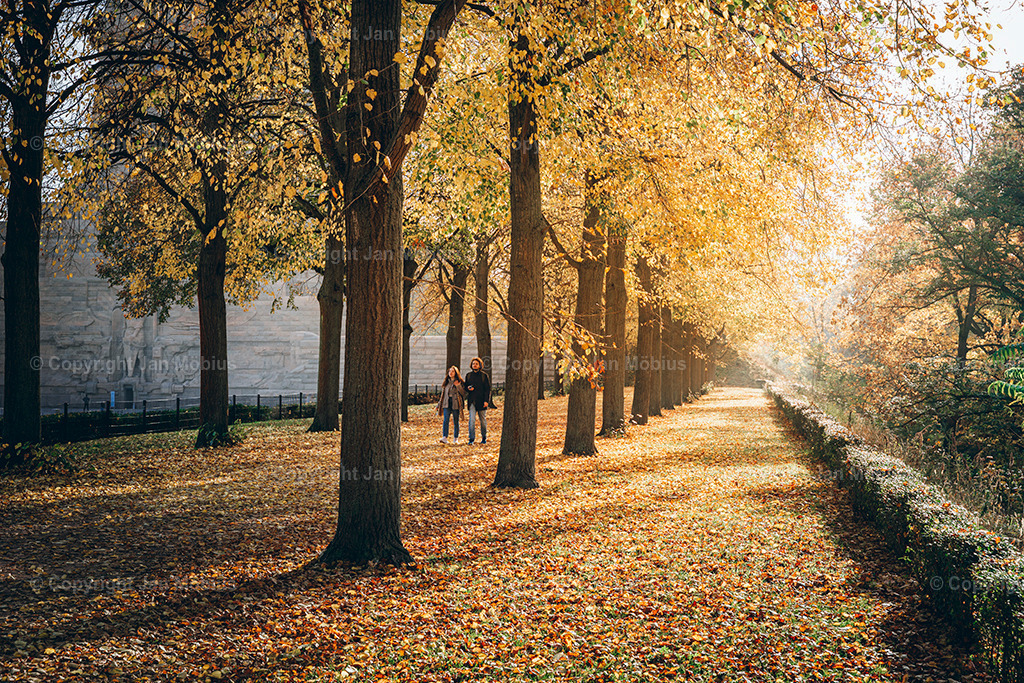_DSC8008 | Leipzig Wandbilder Drucke Prints Leinwand Stadtmotive Leipzig Fotosdruck Kunstdrucke Bilder Leipzig Stadtansichten Acrylglasbilder Leipzig Wanddeko Fine Art Prints Wandbilder Büro Leipzig Bilder Praxis Zuhause Bilderdruck Poster Posterlounge Kunstdrucke - Realisiert mit Pictrs.com
