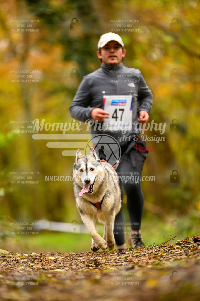 MompixPhotography_Bischwiller24_SA_Canicross-41 | PayLife