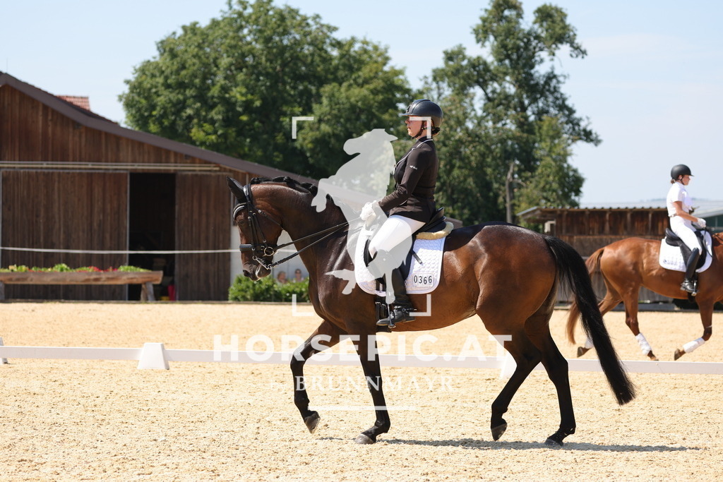 0P6A1005 | Willkommen bei Brunnmayr - Design & Fotografie – Ihrem Spezialisten für Reitturniere und Pferdeveranstaltungen in Oberösterreich, Salzburg und Bayern! Seit über 17 Jahren sind wir leidenschaftlich dabei.