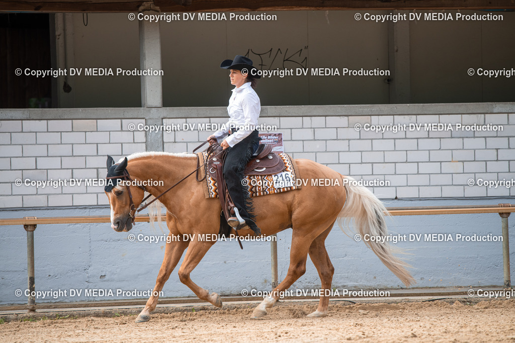 EWP_5646 | dv-media-shop - Realisiert mit Pictrs.com