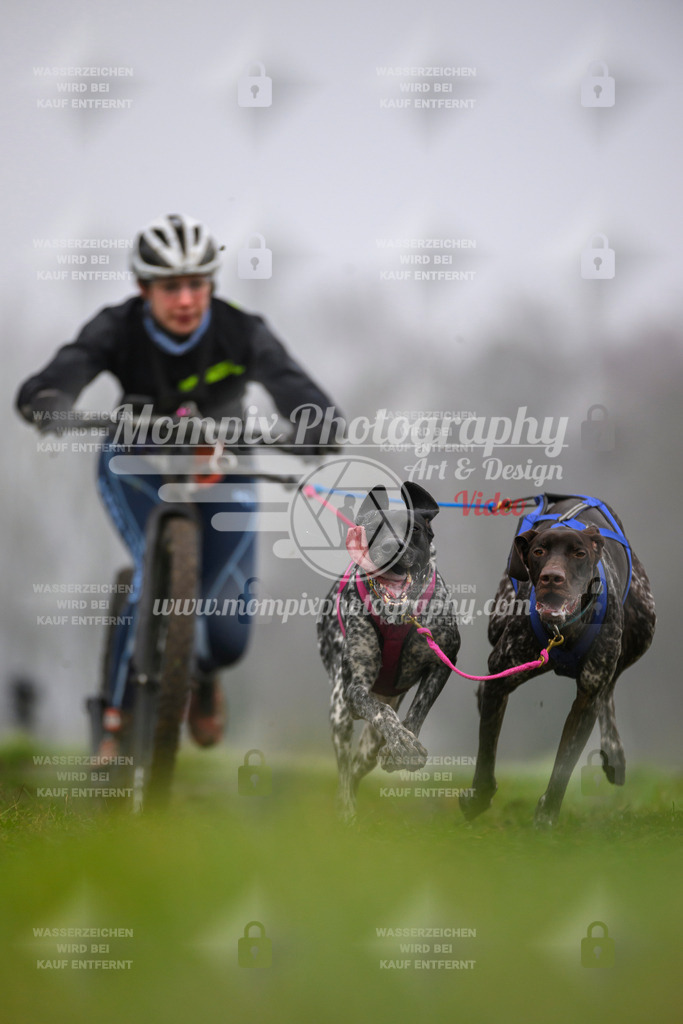 MompixPhotography_CDF2023_FFST_Di_DS2-43 | PayLife