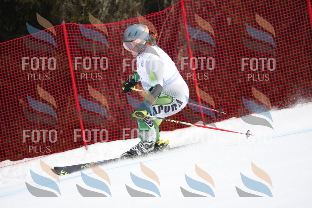 D4663 | holidayphoto