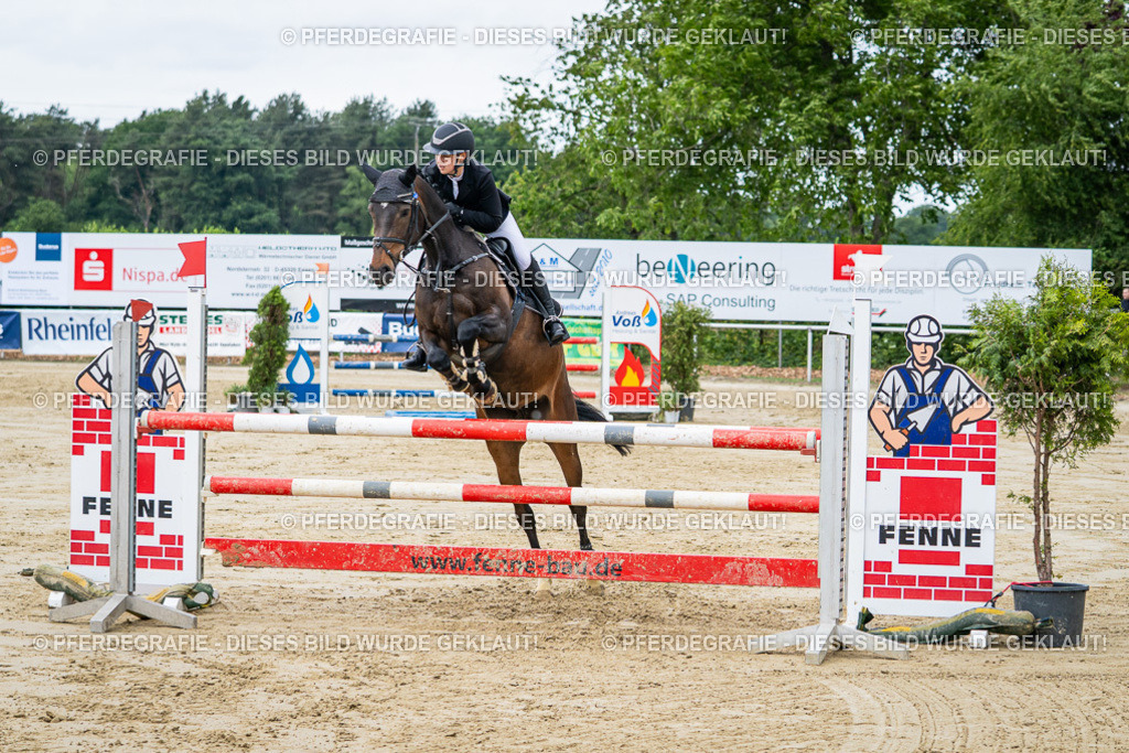 DSC04300 | Pferdegrafie