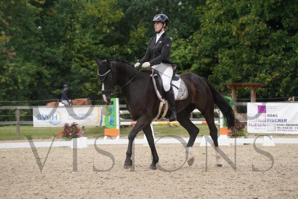 rveinoedsamstag (965) | d.tail Visions - Shop - Realisiert mit Pictrs.com