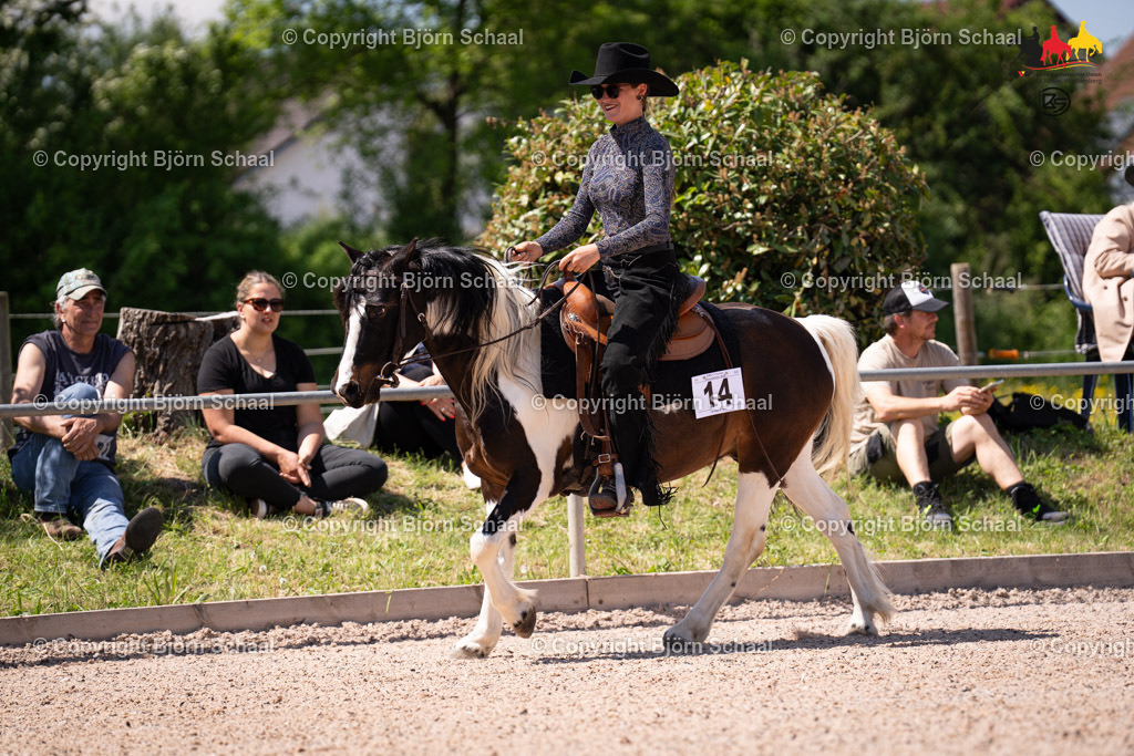 LMB07978 | BS-foto