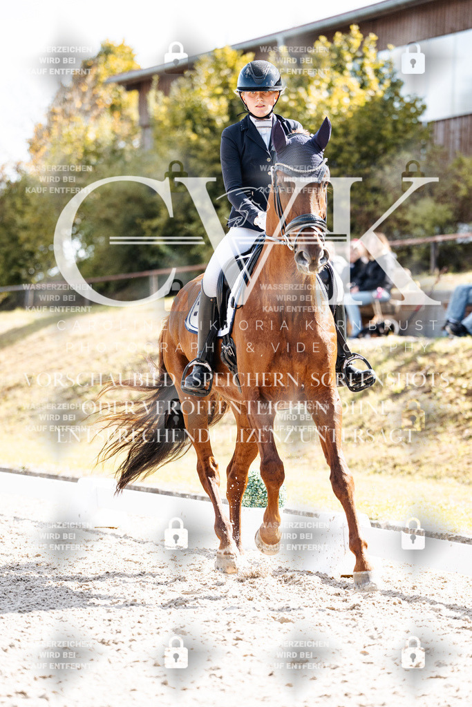 CK902640 | Turnierfotografie Pferdefotografie Trier Rheinland-Pfalz Pferdesport Reitsport Tierfotografie Sportfotografie Pferdevideo Pferdevideografie Equestrianvideography equestrianphotography  - Realisiert mit Pictrs.com