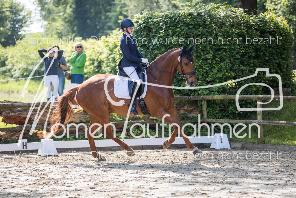 Donop24-A2-Dre-038 | MomenTaufnahmen Pferdesportfotos