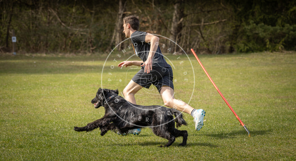 Pfotenfotografie_DV3A9783 | Hundefotografie, Tierfotograf, Pfotenfotografie, Fotoshooting Hund, Hunde Portrait, Hundesport, Hundeportraits, Heideshooting, Hunde, Sportfotograf, Hundefotograf, Turnierhundsport, THS,  - Realisiert mit Pictrs.com
