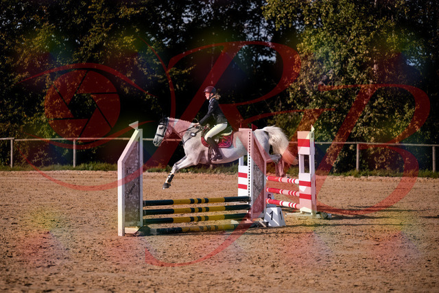 2026_10_03_Siefer-Hof_155148_Z81_71101176 | Professionelle Reitsport-, Turnier- und Eventfotografie von Robert Broda. Galerien mit ausgewählten und bearbeiteten Bildern direkt online ansehen und bestellen.