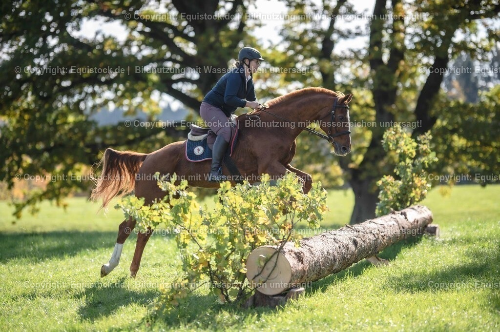 20251011_Jagd-Marbach_0412 | Foto: Thomas Hartig