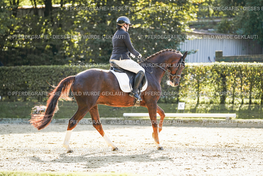 DSC06494 | Pferdegrafie