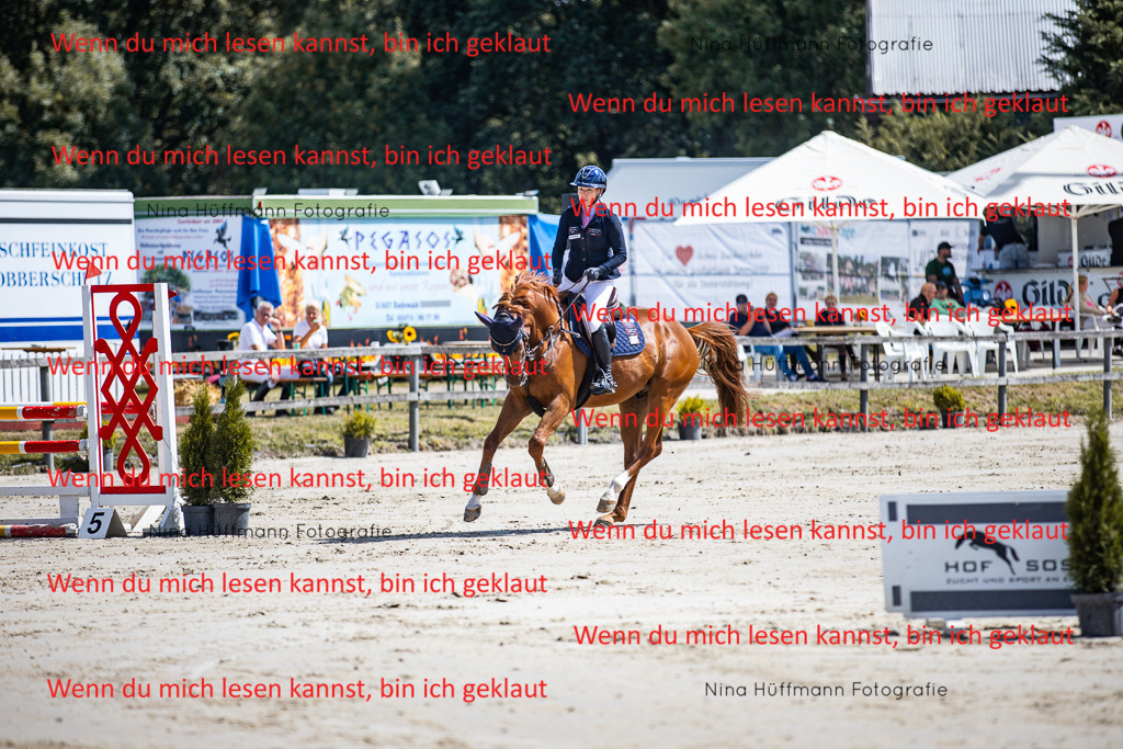 BK1A5038 | Turnierbilder Turnierfotos Nina Hüffmann Turnierfotografie Pferdefotografie Tierzeichnung Haustierzeichnung Pferdezeichnung Hundezeichnung Videograf  - Realisiert mit Pictrs.com