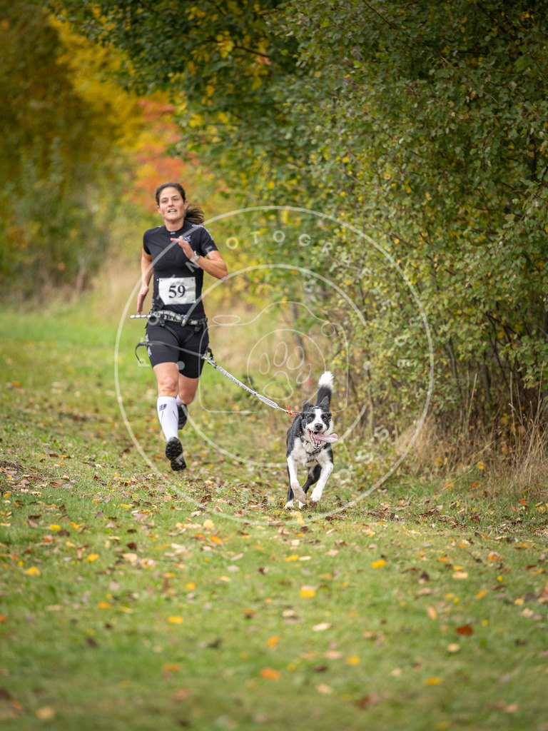Pfotenfotografie_DV3A2626 | Hundefotografie, Tierfotograf, Pfotenfotografie, Fotoshooting Hund, Hunde Portrait, Hundesport, Hundeportraits, Heideshooting, Hunde, Sportfotograf, Hundefotograf, Turnierhundsport, THS,  - Realisiert mit Pictrs.com