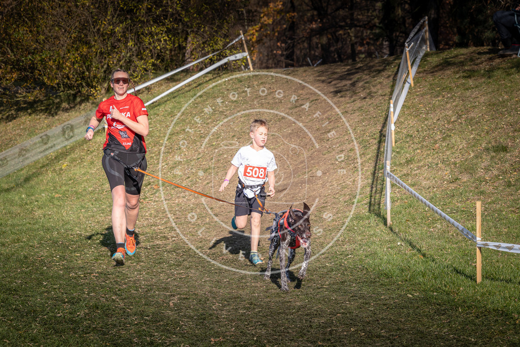 CaniXpix_0L8A8503 | Hundefotografie, Tierfotograf, Pfotenfotografie, Fotoshooting Hund, Hunde Portrait, Hundesport, Hundeportraits, Heideshooting, Hunde, Sportfotograf, Hundefotograf, Turnierhundsport, THS,  - Realisiert mit Pictrs.com