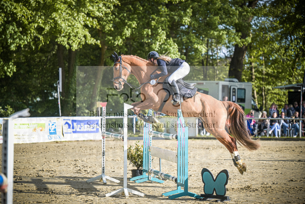 DOS_3504 | Entdecke hochwertige Reitturnierfotos von Foto Oger. Professionell, emotional und authentisch – jetzt Lieblingsmomente im Shop bestellen.Deutschlandweite Turnierfotografie. - Realisiert mit Pictrs.com