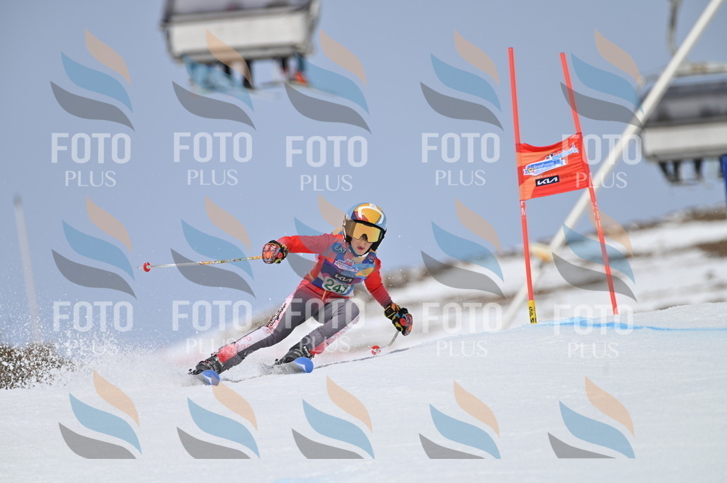 BGV_4807 | holidayphoto