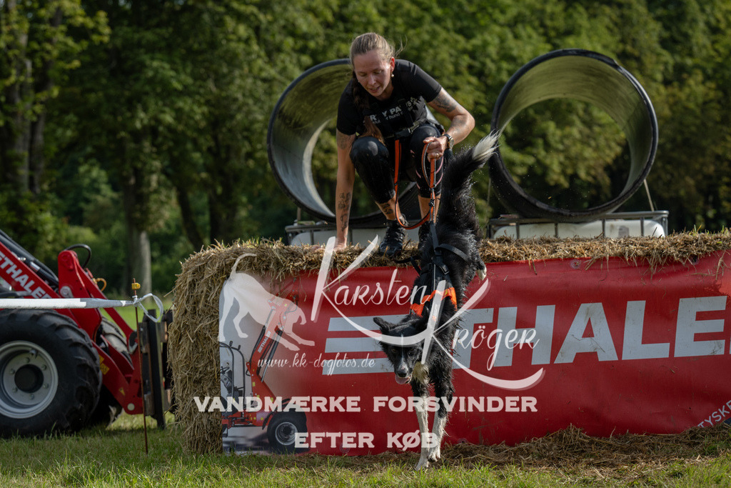 0940_ZZ90882 | kk-dogfotos