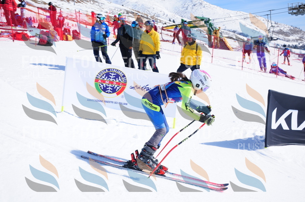 DSC_4351 | holidayphoto